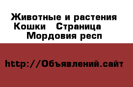 Животные и растения Кошки - Страница 6 . Мордовия респ.